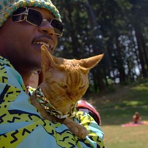 Foto Locos por los gatos