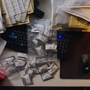 Foto Shiny Flakes: El cibernarco adolescente