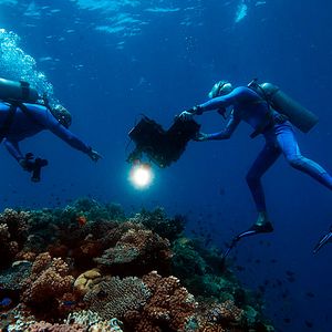 Foto Las maravillas del mar