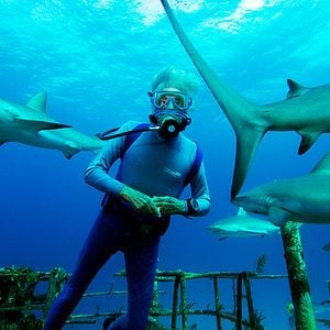 Foto Las maravillas del mar