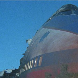 Foto El superviviente