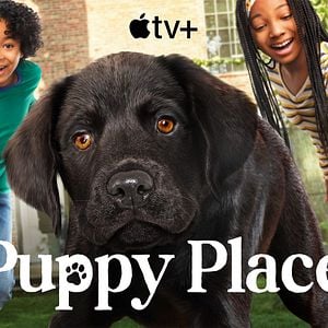 Foto Cachorritos: Buscando un hogar