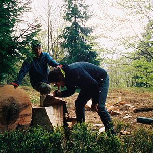 Foto En busca del violín perfecto