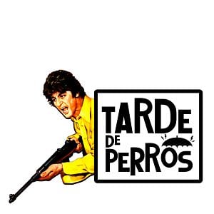 Foto Tarde de perros