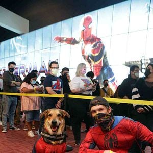 Foto Spider-Man: No Way Home