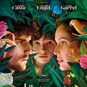 Foto Un pequeño plan...como salvar el planeta