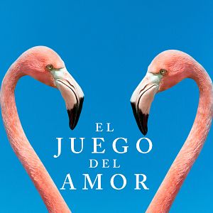 Foto El juego del amor