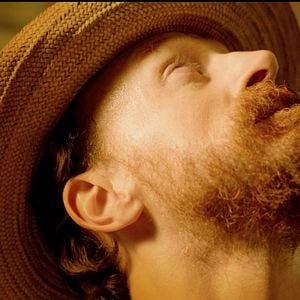 Foto Los girasoles de Van Gogh