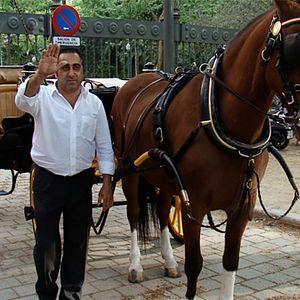 Foto ¿De qué va la vida?