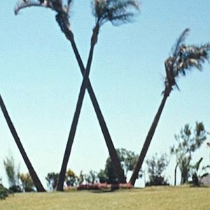 Foto El mundo está loco, loco, loco