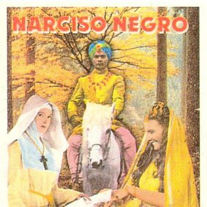 Foto Narciso Negro
