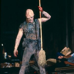 Foto El vengador tóxico