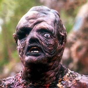 Foto El vengador tóxico