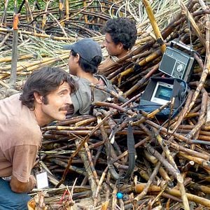 Foto La jaula de oro