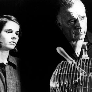 Foto Mil novecientos ochenta y cuatro (1984)