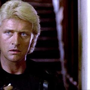 Foto Se busca vivo o muerto