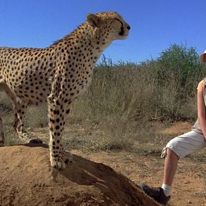 Foto Viaje mágico a África