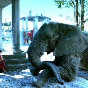 Foto Viaje mágico a África