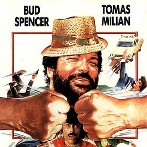 Foto Como el perro y el gato