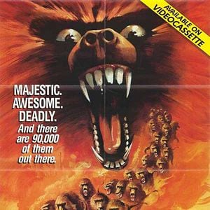 Foto En las sombras del Kilimanjaro