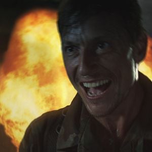 Foto Avispas asesinas