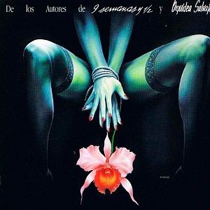 Foto Piernas de terciopelo