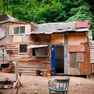 Foto The Kings of Summer