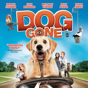 Foto Una joya de perro