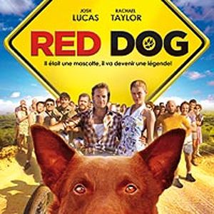 Foto Red Dog