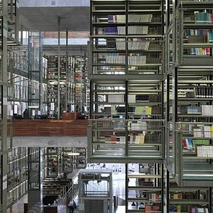 Foto Google y el cerebro mundial