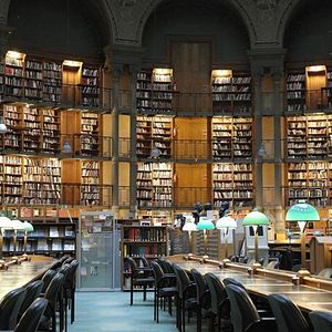 Foto Google y el cerebro mundial
