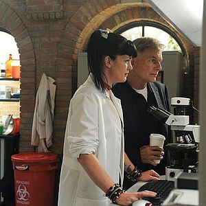 Foto Pauley Perrette