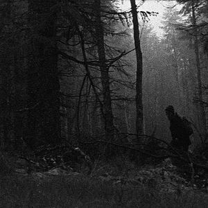 Foto Two Years at Sea