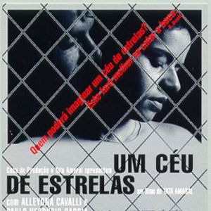 Foto Um ceu de estrelas