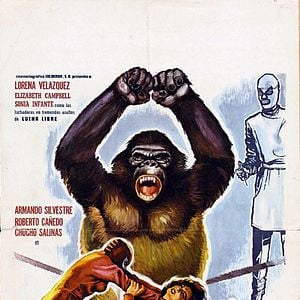 Foto Las luchadoras contra el médico asesino