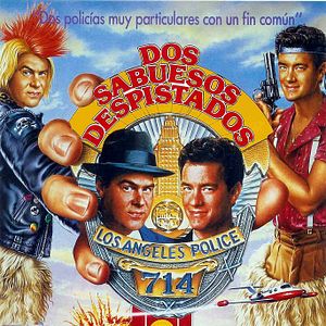 Foto Dos sabuesos despistados