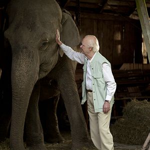Foto El abuelo que saltó por la ventana y se largó