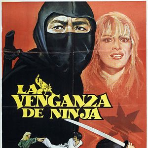 Foto La venganza de Ninja