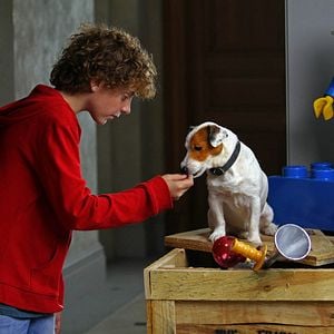 Foto Pancho, el perro millonario