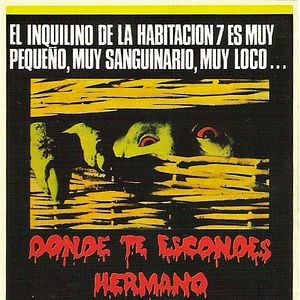 Foto ¿Dónde te escondes hermano?