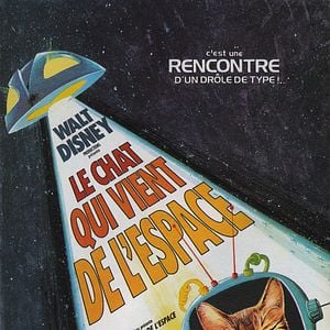 Foto El gato que vino del espacio