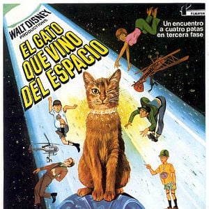 Foto El gato que vino del espacio