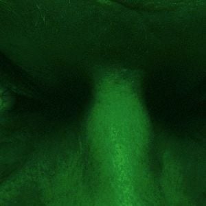 Foto L'étrange couleur des larmes de ton corps