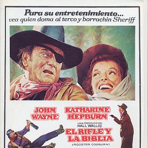 Foto El rifle y la Biblia