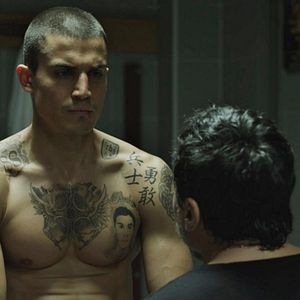 Foto Alacrán Enamorado