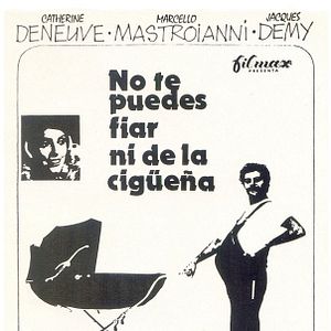 Foto No te puedes fiar ni de la cigüeña