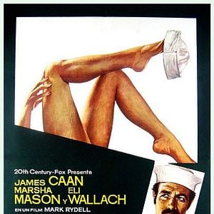 Foto Permiso para amar hasta medianoche