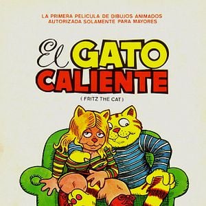 Foto El gato caliente