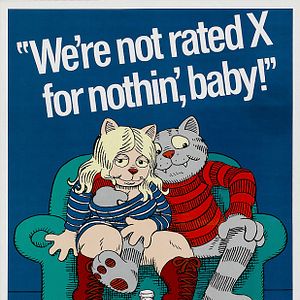 Foto El gato caliente