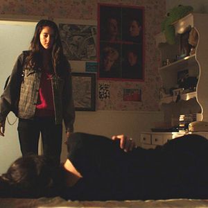 Foto White Bird in a Blizzard